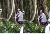 ২০০-বছরের-সেই-বটগাছ-কেটে-ফেলা-হলো-‘শিরক’-তকমা-দিয়ে--ভাইরাল-ভিডিও