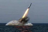 ভারত-পাকিস্তান যুদ্ধ: এবার উঠে এলো এক চাঞ্চল্যকর তথ্য!