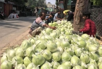 দেড়-কেজি-ওজনের-এক-লাউ-সাড়ে-৩-টাকা-