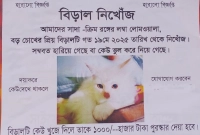 হারিয়ে-যাওয়া-বিড়াল-খুঁজে-পেতে-পুরস্কার-ঘোষণা