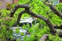 বজ্রপাত ও ঝড়ে ৪৫ জনের মৃত্যু