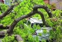 ভারতে বজ্রপাত ও ঝড়ে ৪৫ জনের প্রাণহানি