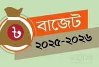 বাজেটে-বড়-চমক-সস্তায়-মিলবে-যেসব-পণ্য