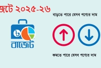 যেসব-পণ্যের-দাম-বাড়তে-ও-কমতে-পারে