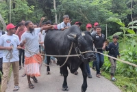 খালেদা-জিয়ার-কাছ-থেকে-ঈদ-উপহার-পেয়ে-খুশি-‘কালো-মানিকের’-মালিক-সোহাগ