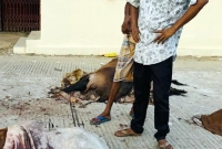 ‘জীবনে আর কোনোদিন চামড়ার ব্যবসা করবো না’