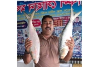 জানেন কত টাকায় বিক্রি হয়েছে পদ্মার এই দুই ইলিশ? জানেন কত টাকায় বিক্রি হয়েছে পদ্মার এই দুই ইলিশ?