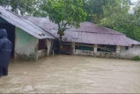 ব্রেকিং-নিউজ-পানির-নিচে-৫০-গ্রাম-