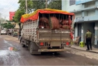 জানেন-এবার-ভারত-থেকে-কী-আমদানি-হলো-