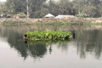 ‘খালটির-পানি-যতই-বৃদ্ধি-পায়-ততই-নাকি-কবরটি-ভেসে-ওঠে’-