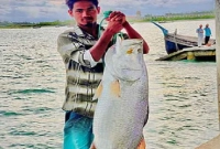 পাঁচ-ফুট-লম্বা-এই-বিশাল-মাছটি-ধরা-পড়ল-বরশিতে