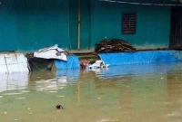 নিম্নচাপের-প্রভাবে-১১টি-গ্রাম-প্লাবিত-তলিয়ে-গেছে-ঘরবাড়ি-ফসলি-জমি-ও-সড়ক