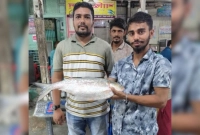 ১৬ হাজার টাকায় বিক্রি হলো ৩ কেজির রাজা ইলিশ ১৬ হাজার টাকায় বিক্রি হলো ৩ কেজির রাজা ইলিশ