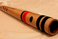 গরুর মানসিক স্বাস্থ্য ও দুধ বাড়াতে বাঁশি ব্যবহার করছে রাখাল