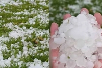 শিলাবৃষ্টি ও ভারী বৃষ্টিপাত সৌদির বিভিন্ন শহরে, ভাইরাল সেই ভিডিও