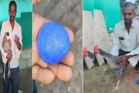 চাঞ্চল্য সৃষ্টি করেছে এক কৃষকের গৃহপালিত মুরগির ডিম