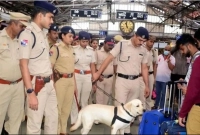 আতঙ্ক ছড়িয়ে পড়েছে পুরো মুম্বাইজুড়ে!