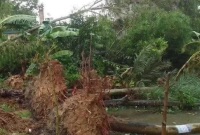 মুহূর্তের-ঝড়েই-লণ্ডভণ্ড-যে-জেলা-