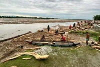 নদীতে-ভেসে-আসছে-হাজার-হাজার-গাছের-গুঁড়ি