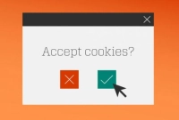ওয়েবসাইটে ঢুকলেই কুকিজ আসে? যে বিপদে পড়তে পারেন অনুমতি দিয়ে!