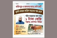 ১-টাকায়-গরুর-মাংস-দেবেন-ইলিশ-নিয়ে-বিপাকে-পড়া-সেই-এমপি-প্রার্থী