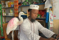 সাদা-বক-পোষ-মানিয়ে-আলোচনার-ঝড়-তুললেন-হেমায়েত