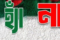 ‘হ্যাঁ’-‘না’-পোস্টে-তোলপাড়-ফেসবুক--কারণ-কী-