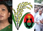 বিএনপির-প্রার্থী-ঘোষণায়-বাবার-পথে-ধানের-শীষ-পেলেন-যারা
