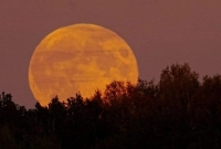 আজ-রাতের-আকাশে-দেখা-যাবে-সবচেয়ে-বড়-ও-উজ্জ্বল-চাঁদ-সুপারমুন