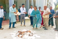 আগুনে-পোড়ানো-হলো-১-হাজার-৫০০-দলিল