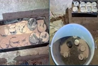 সন্ধান-মিলল-গোপন-কারখানার-উদ্ধার-হলো-বিপুল-পরিমাণ-ককটেল