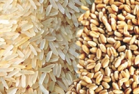 কমলো-চাল-ও-গমের-দাম