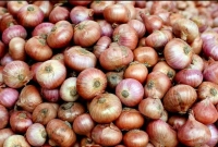 বাংলাদেশ-না-কেনায়-কাঁদছে-ভারতের-পেঁয়াজ-রপ্তানিকারকরা-