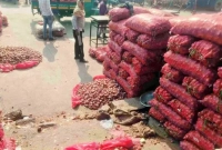 গাজিপুর-পাইকারি-বাজারে-পচছে-বস্তা-বস্তা-পেঁয়াজ-মিলছে-না-ক্রেতা-