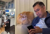 তারেক-রহমানের-আদরের-সেই-পোষা-বিড়ালও-পেল-পাসপোর্ট