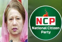 যাকে-প্রার্থী-ঘোষণা-খালেদা-জিয়ার-আসনে