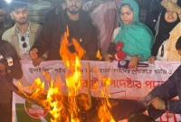 ঢাবিতে-স্বরাষ্ট্র-উপদেষ্টার-কুশপুত্তলিকা-দাহ-কাল-গায়েবানা-জানাজা