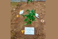 যা-লেখা-আছে-শহীদ-ওসমান-হাদির-এপিটাফে