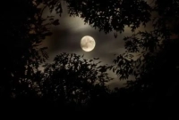 আজ-সবচেয়ে-দীর্ঘ-রাত