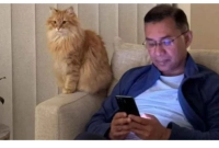 আদরের-পোষা-বিড়াল-‘জেবু’ও-আসছে-তারেক-রহমানের-সঙ্গে