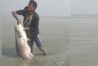 ২৩-কেজি-ওজনের-কোরাল-মাছ-ধরা-পড়ল-জাল-ছাড়াই