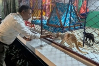 এবার-শ্বশুরবাড়িতেও-‘প্রাণিপ্রেমী-তারেক-রহমান’-