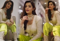 ‘বিপিএল-লুক’-নিয়ে-ফের-আলোচনায়-তানজিন-তিশা