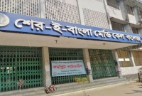 মাকে-বাঁচাতে-গিয়ে-মেয়ের-মৃত্যু-