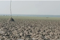 বাংলাদেশে-যুক্ত-হচ্ছে-কয়েক-হাজার-একর-নতুন-ভূমি-