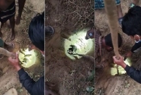 নলকূপের-গর্তে-৩০-ফুট-নিচে-শিশুটির-অবস্থান-শনাক্ত-উদ্ধারের-চেষ্টা