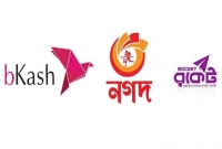 যে-৬-দিন-বড়-অঙ্কের-লেনদেন-করতে-পারবেন-না-বিকাশ-নগদ-রকেট-গ্রাহকরা