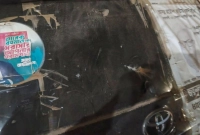 এইমাত্র-পাওয়া-বিএনপির-প্রার্থীর-গাড়িতে-হামলা-পরিস্থিতি-নিয়ন্ত্রণে