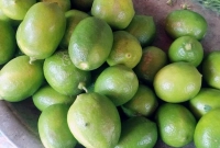 খবরটি-ছড়িয়ে-পড়তেই-দাম-কমলো-ফল-ও-লেবুর