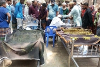 ছোট-ভাইয়ের-মৃত্যুশোক-সহ্য-করতে-না-পেরে-বড়-ভাইয়েরও-মৃত্যু